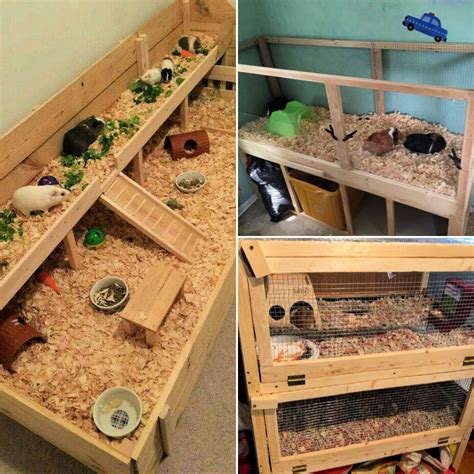 diy guinea pig cage